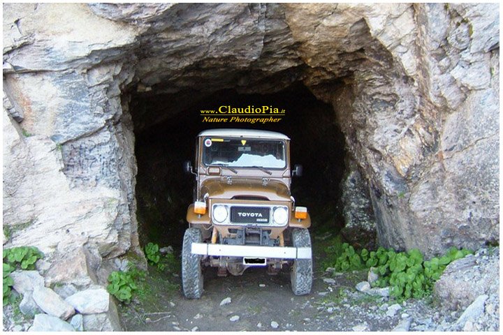 Toyota Land Cruiser BJ42, fiori di montagna, fiori della Liguria, alpi Liguri, appennino ligure, Val d'Aveto